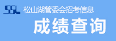 成绩查询
